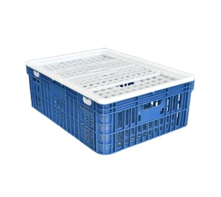 gaiola plastica aves vivas 100 cs tampo duplo maxicaixa 01 1723491041